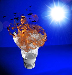 灯具批发市场，照亮商业与创新的交汇点