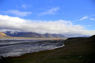 北京丰台区疫情新动态,新增3个高风险区的应对与防控 北京丰台区疫情新动态,新增3个高风险区的应对与防控