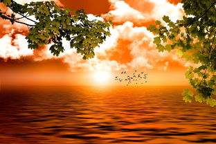 师恩难忘,用PPT传递感激之情的艺术 师恩难忘,用PPT传递感激之情的艺术