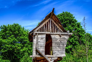 河南疫情最新动态，新增本土确诊病例7例