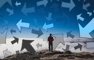 辛集疫情升级,高风险地区的生活指南与应对策略 辛集疫情升级,高风险地区的生活指南与应对策略