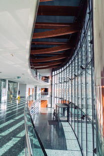 现代餐饮业的心脏，中央厨房设计的艺术与科学