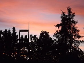 31省份新增37例本土确诊病例，疫情动态及其对我们生活的影响