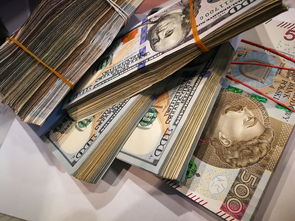 温暖守护，探索全球顶级电热毯品牌