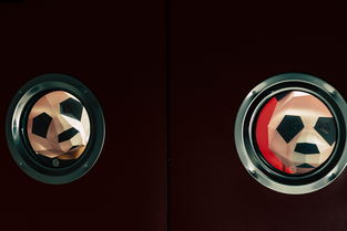 不锈钢的磁性之谜，导磁还是不导磁？