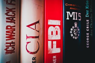 探索幼儿教育的奥秘,随笔中的洞察与启示 探索幼儿教育的奥秘,随笔中的洞察与启示