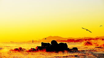 海上日出,自然之美与心灵之旅 海上日出,自然之美与心灵之旅