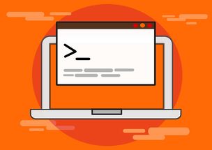 网上购物系统,技术、挑战与未来趋势 网上购物系统,技术、挑战与未来趋势