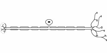 电梯门光幕,安全与技术的结合 电梯门光幕,安全与技术的结合