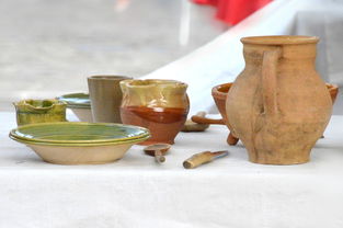 苏泊尔电炖锅，厨房里的慢炖艺术