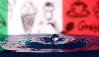 探索清洁新境界,神奇拖把品牌大比拼 探索清洁新境界,神奇拖把品牌大比拼