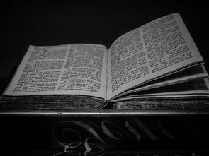 探索古典文学之美,与朱元思书教案解析 探索古典文学之美,与朱元思书教案解析