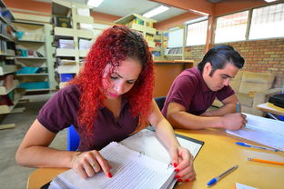 中学体育教案，活力四射的课堂，健康快乐的学习