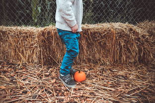 家庭教育案例，塑造孩子未来的智慧与艺术