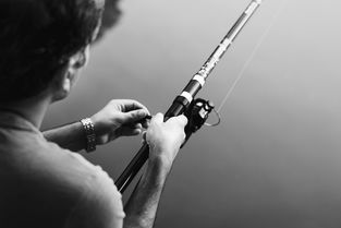 探索魔声面条耳机,音乐爱好者的时尚与音质之选 探索魔声面条耳机,音乐爱好者的时尚与音质之选