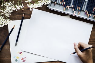 打造梦想家园，家具风格设计图纸的艺术与科学