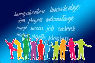 暑假生活指导，七年级学生的假期规划与实践指南