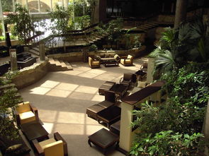 京隆名爵府,现代奢华与古典优雅的完美融合 京隆名爵府,现代奢华与古典优雅的完美融合