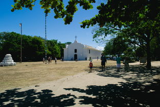 长沙富基世纪公园，一座城市中的绿色宝藏