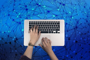 支付宝与网银，本质区别与功能比较