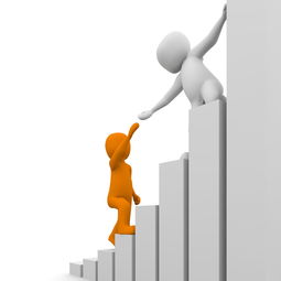 投资银行部，企业发展的幕后英雄