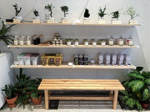 室内空气净化产品的选择与搭配