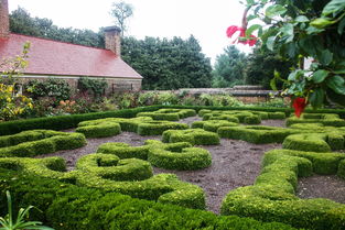 住进万科金色半山，让生活与自然诗意共生