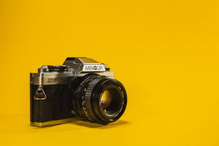 家用数码相机排行榜，帮您轻松找到最适合您的相机