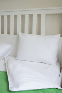 柔软如梦的桑蚕丝面料,穿出自然与优雅的舒适体验 柔软如梦的桑蚕丝面料,穿出自然与优雅的舒适体验