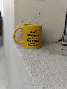 活性炭雕,家庭净化神器,价格与价值全解析 活性炭雕,家庭净化神器,价格与价值全解析