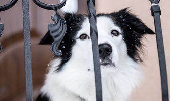 什么是钛钢？它为什么这么牛？