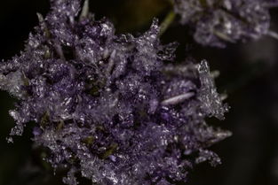 绿水晶的象征意义与用途