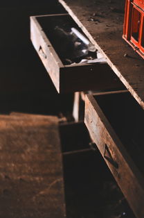 木塑生产线，用木材与塑料创造绿色未来的新方式